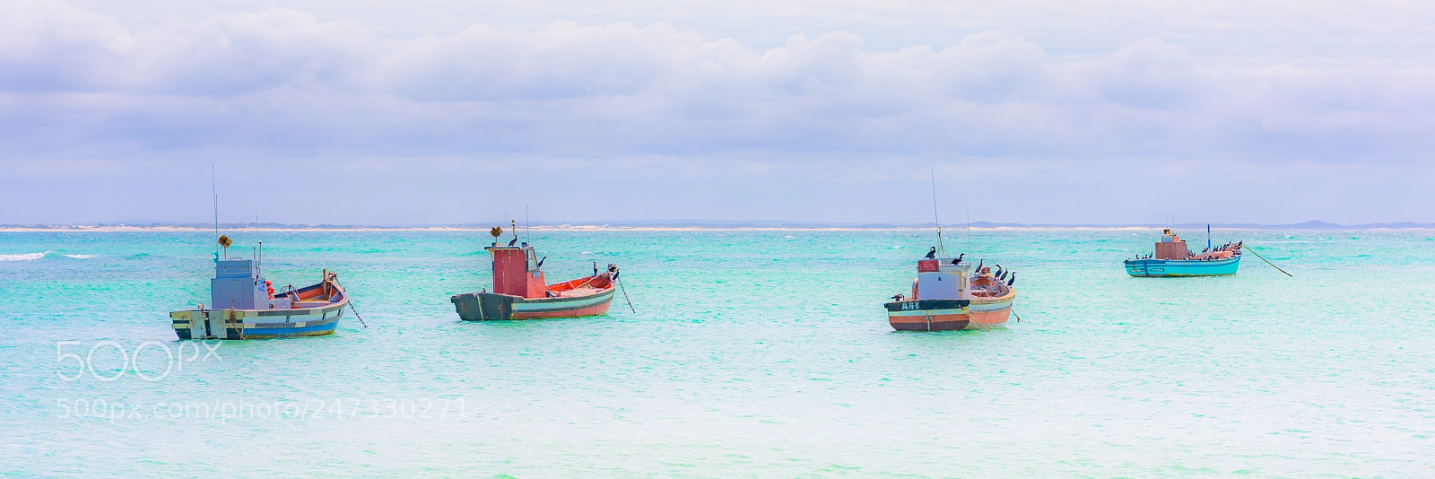 Nikon D810 sample photo. Coastal life photography