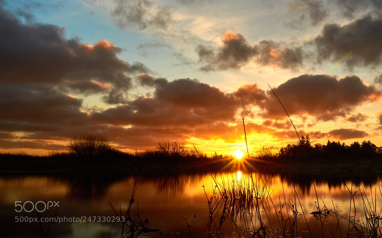 Sony Alpha NEX-6 sample photo. Sunrise at the local photography
