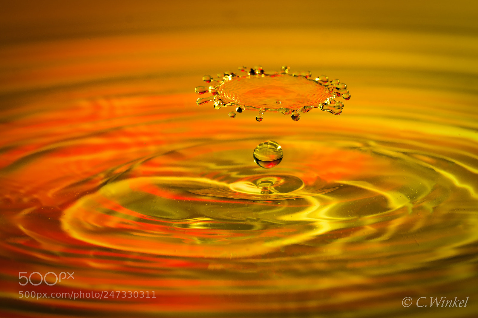 Nikon D7200 sample photo. Watherdrop tat photography