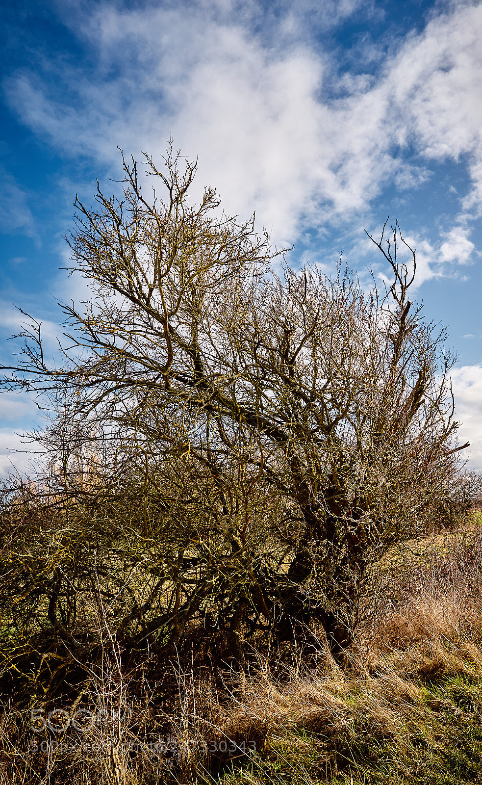 Sony a7 II sample photo. S.i.n.u.o.u.s photography