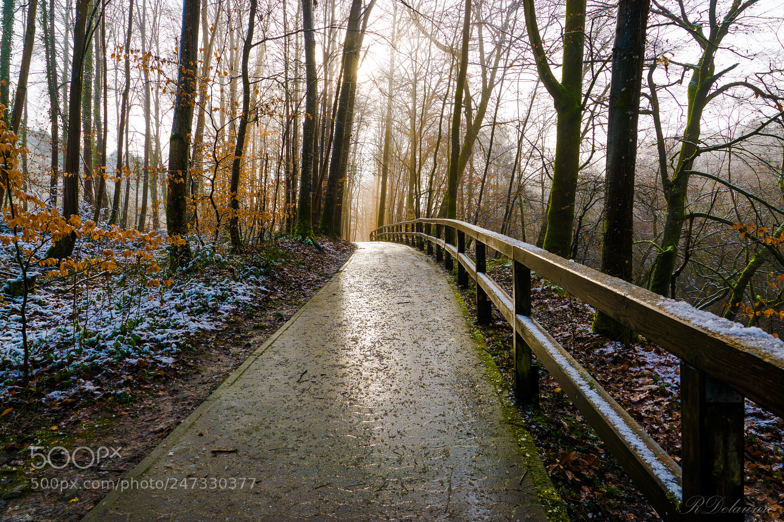 Sony ILCA-77M2 sample photo. Irrel trail photography