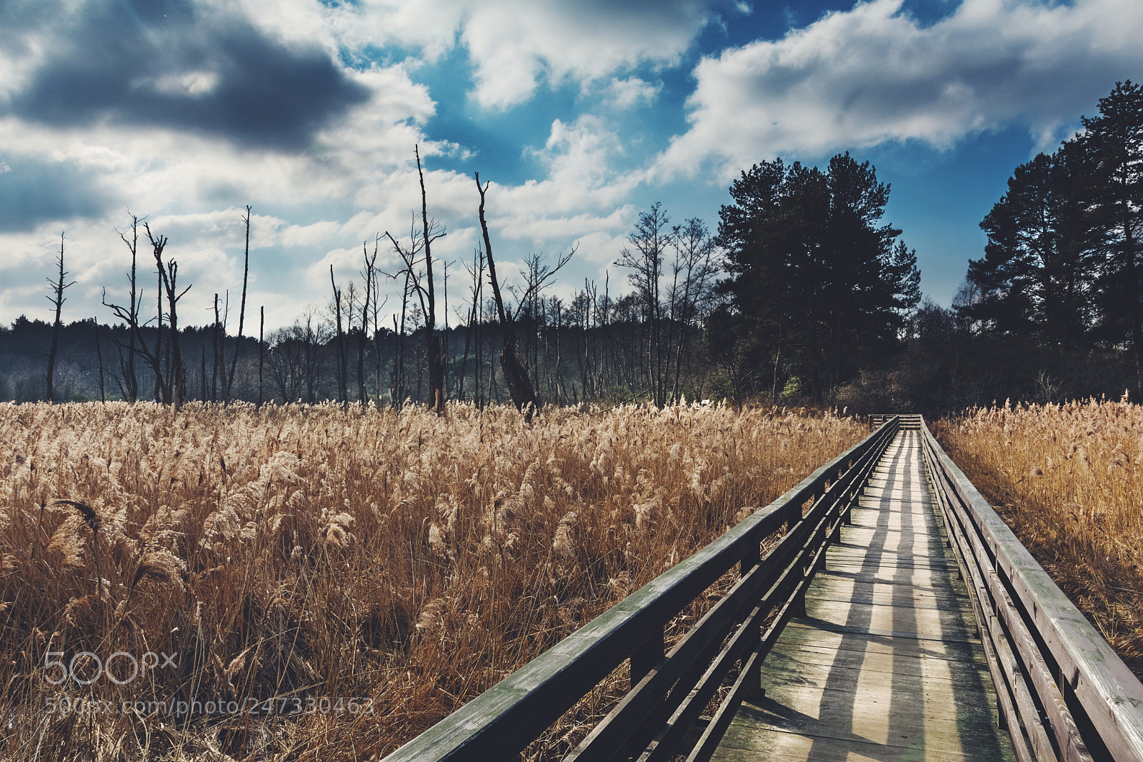 Nikon D7100 sample photo. Great location near poznan photography