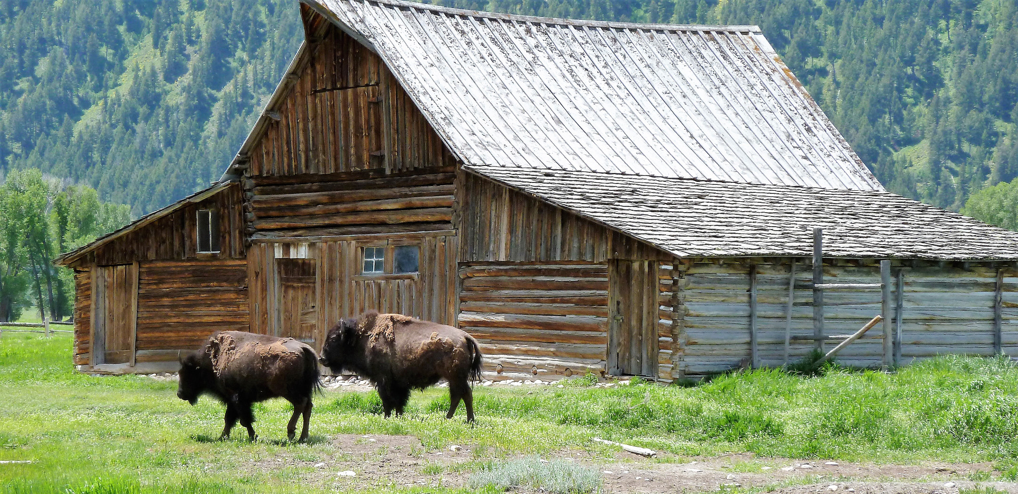 Panasonic Lumix DMC-ZS5 (Lumix DMC-TZ8) sample photo. Old mormon barns of the tetons photography