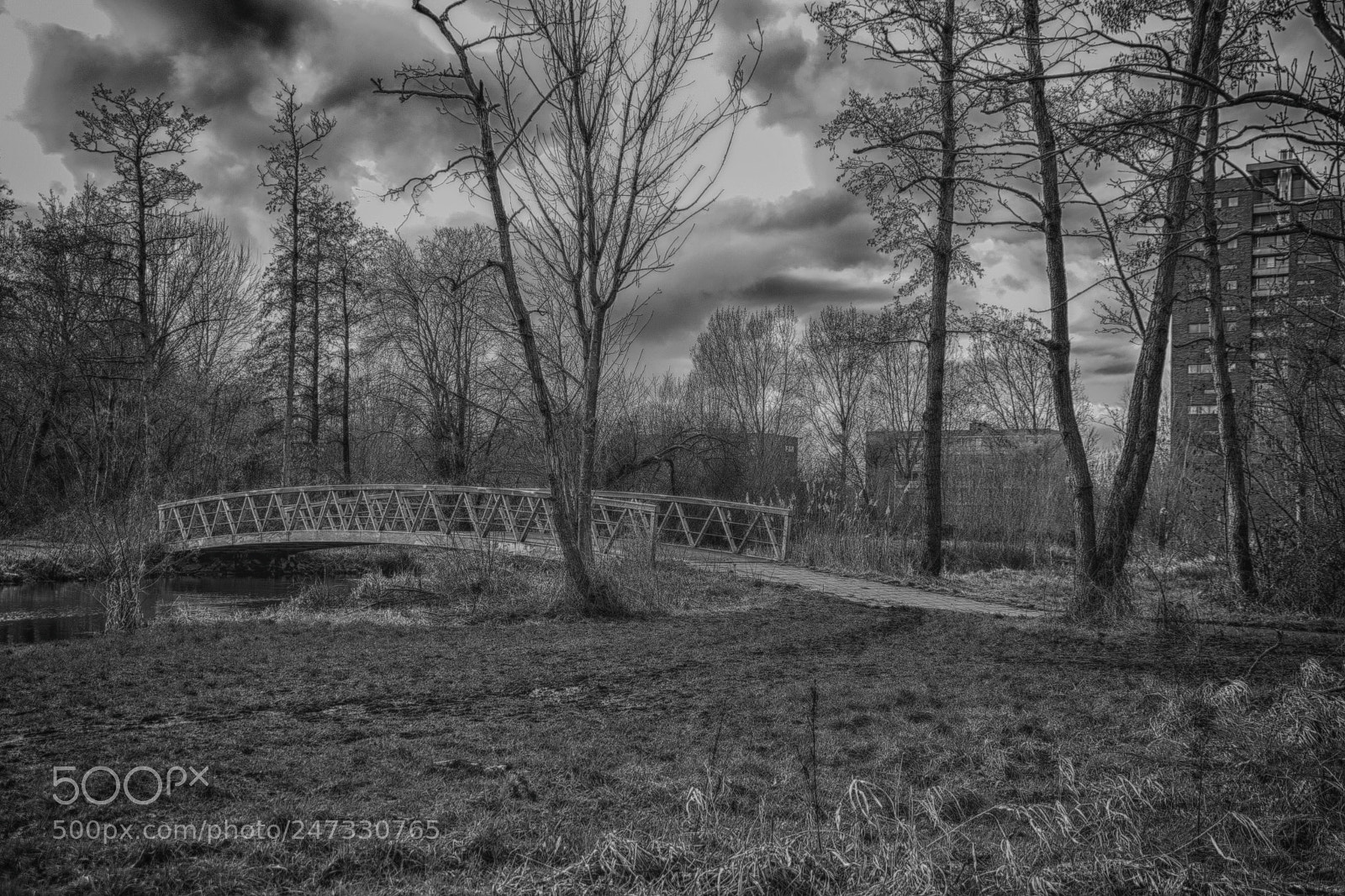 Canon EOS 7D Mark II sample photo. Bridge photography