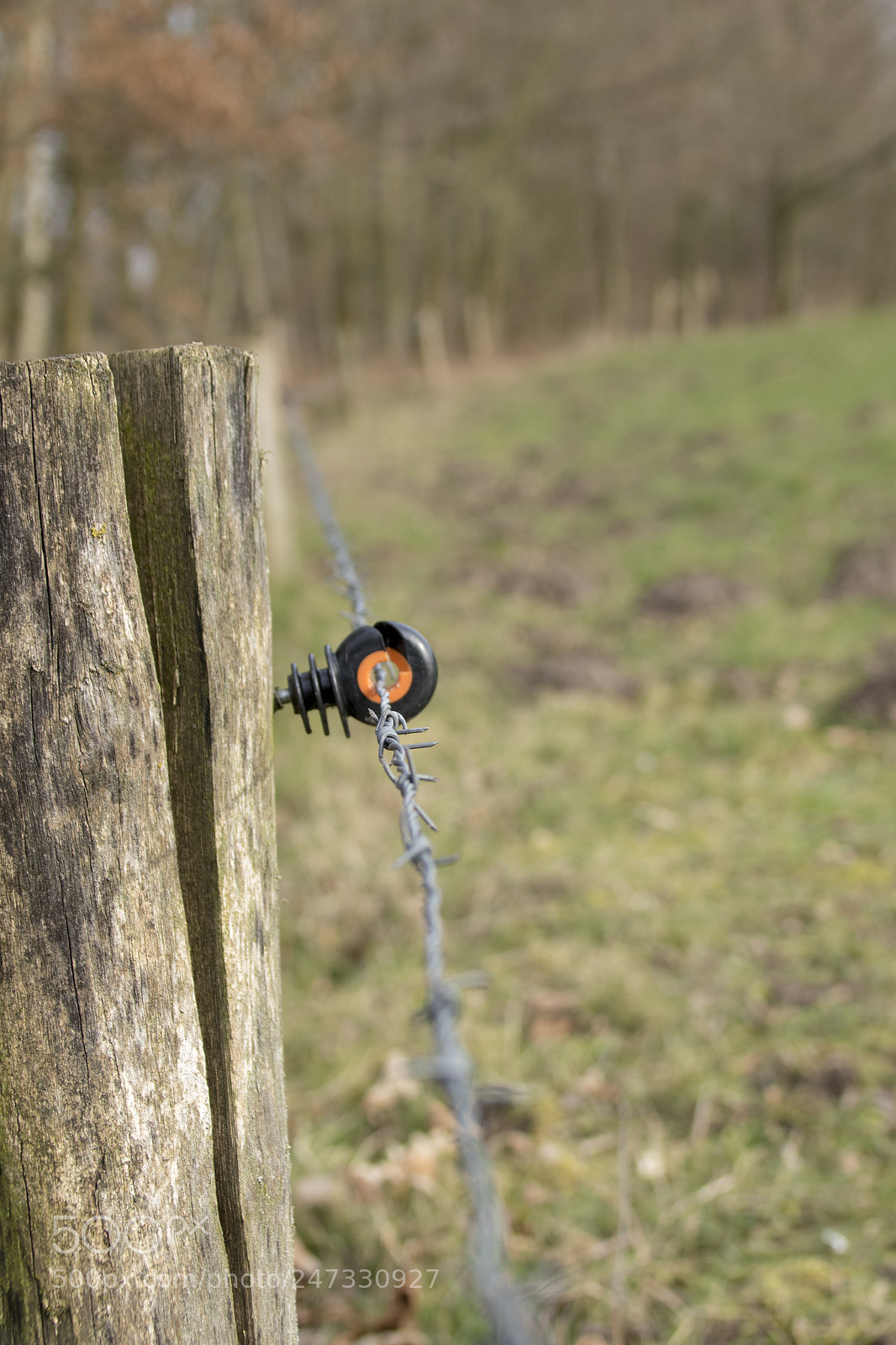 Canon EOS 7D Mark II sample photo. Barbed wire photography