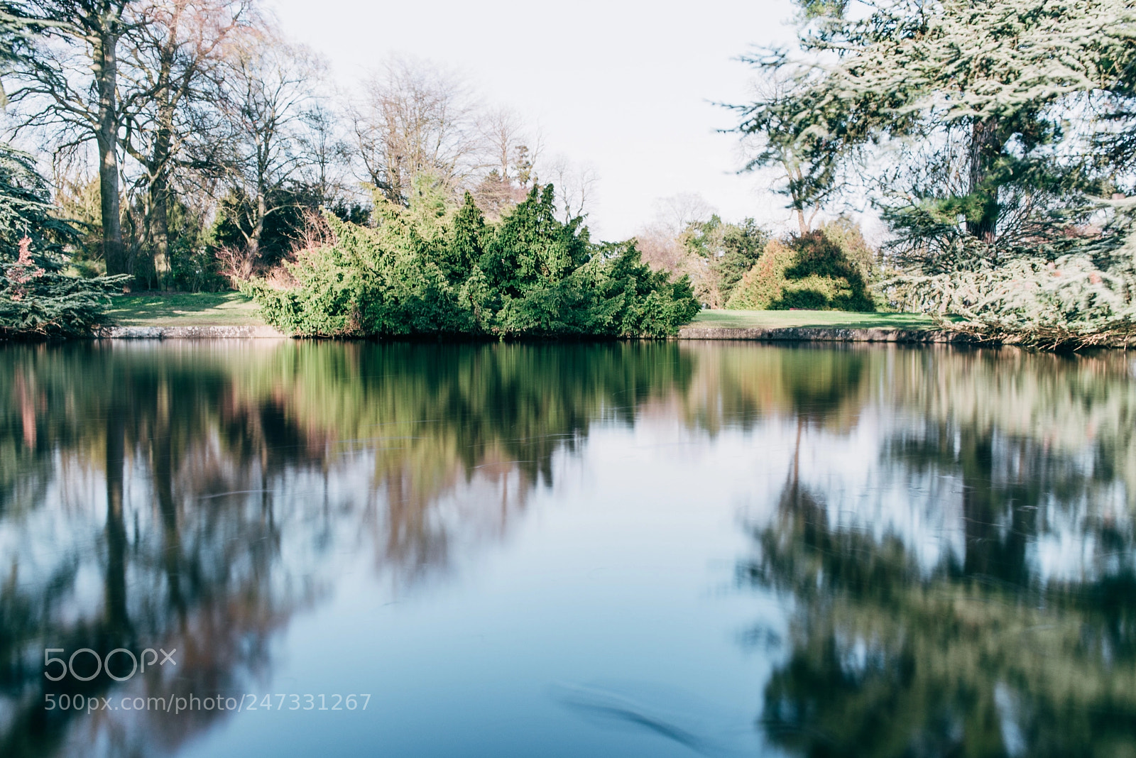 Nikon D610 sample photo. Domaine saint cloud photography