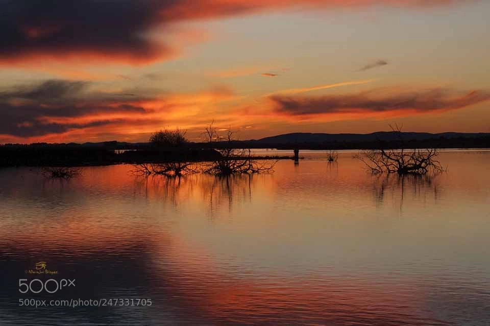 Nikon D40 sample photo. Atardecer en daimiel photography