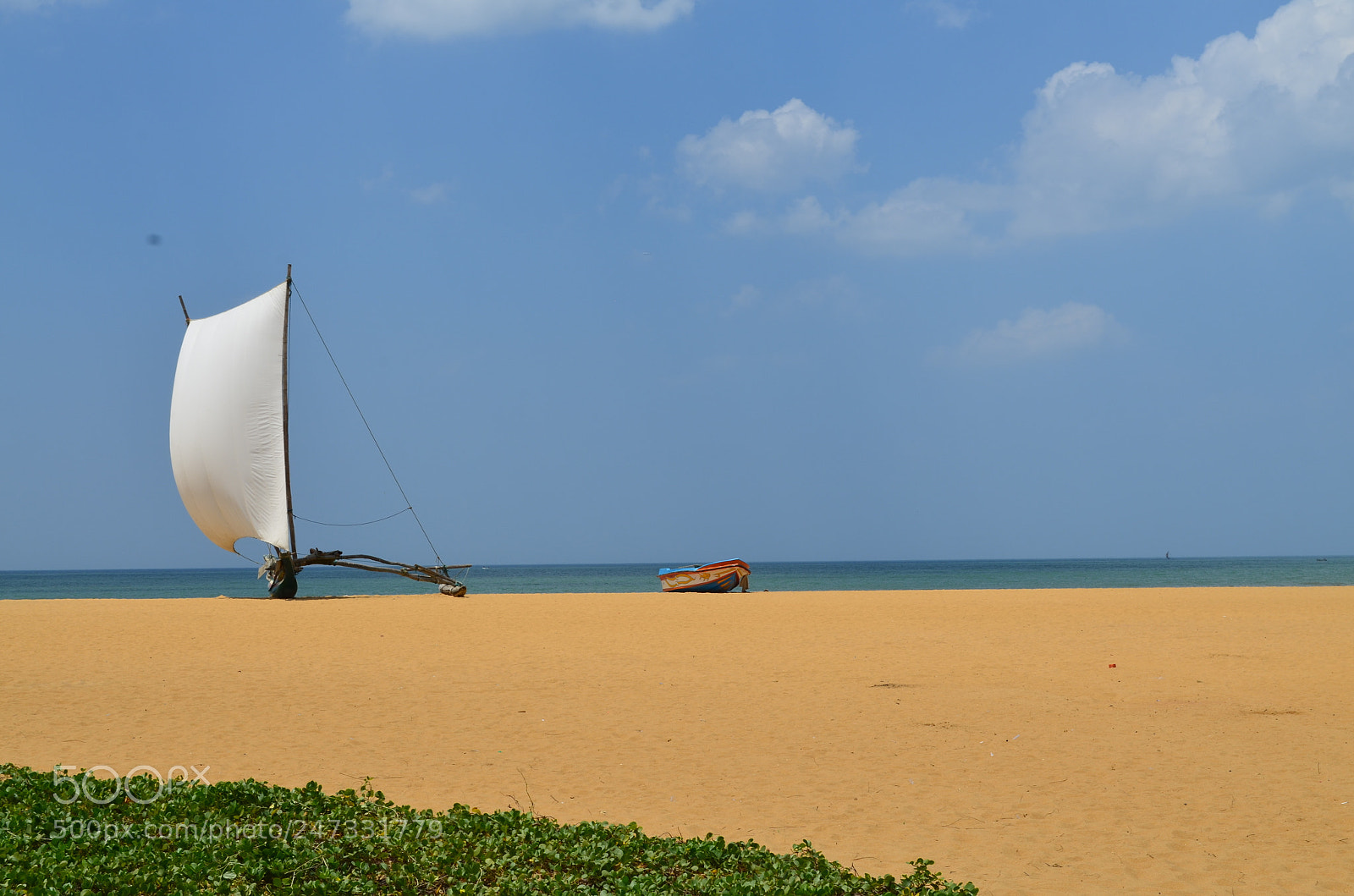 Nikon D5100 sample photo. Untitled photography