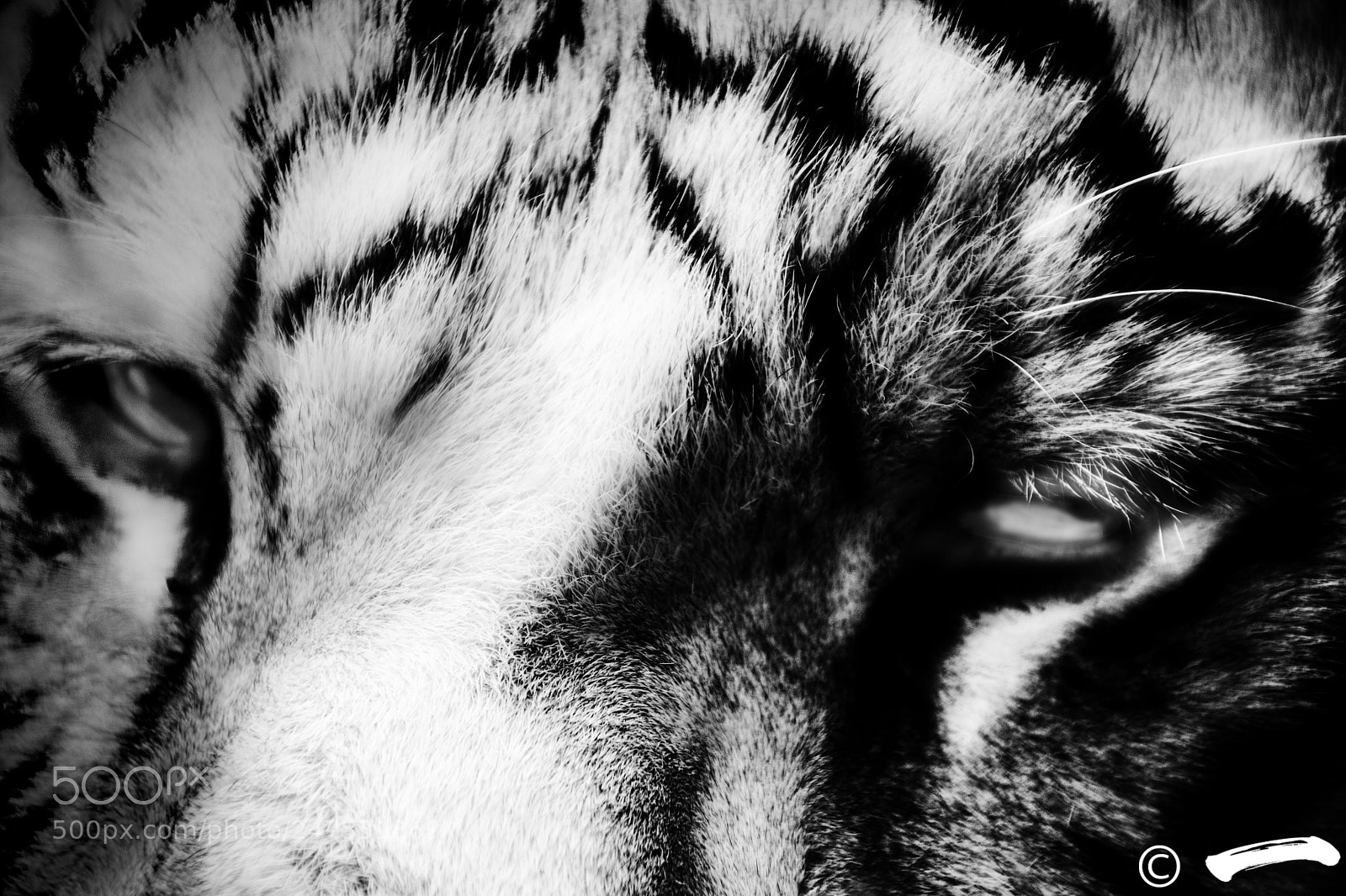 Nikon D7100 sample photo. Untitled photography