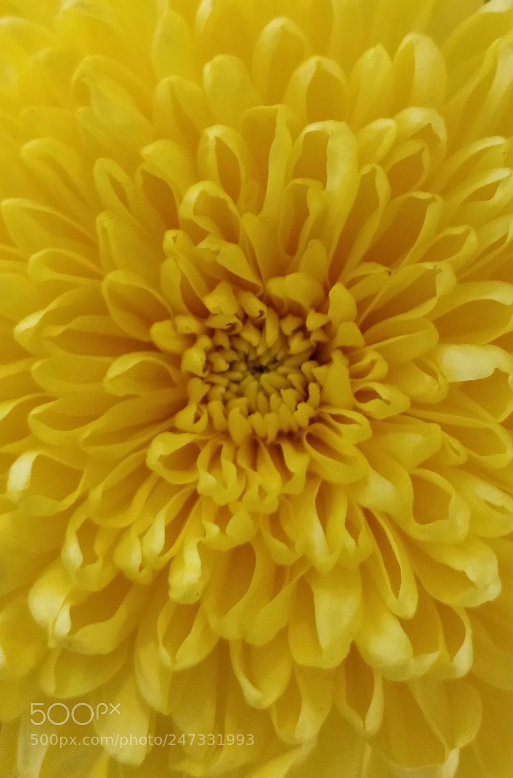 OnePlus 5 sample photo. Untitled photography
