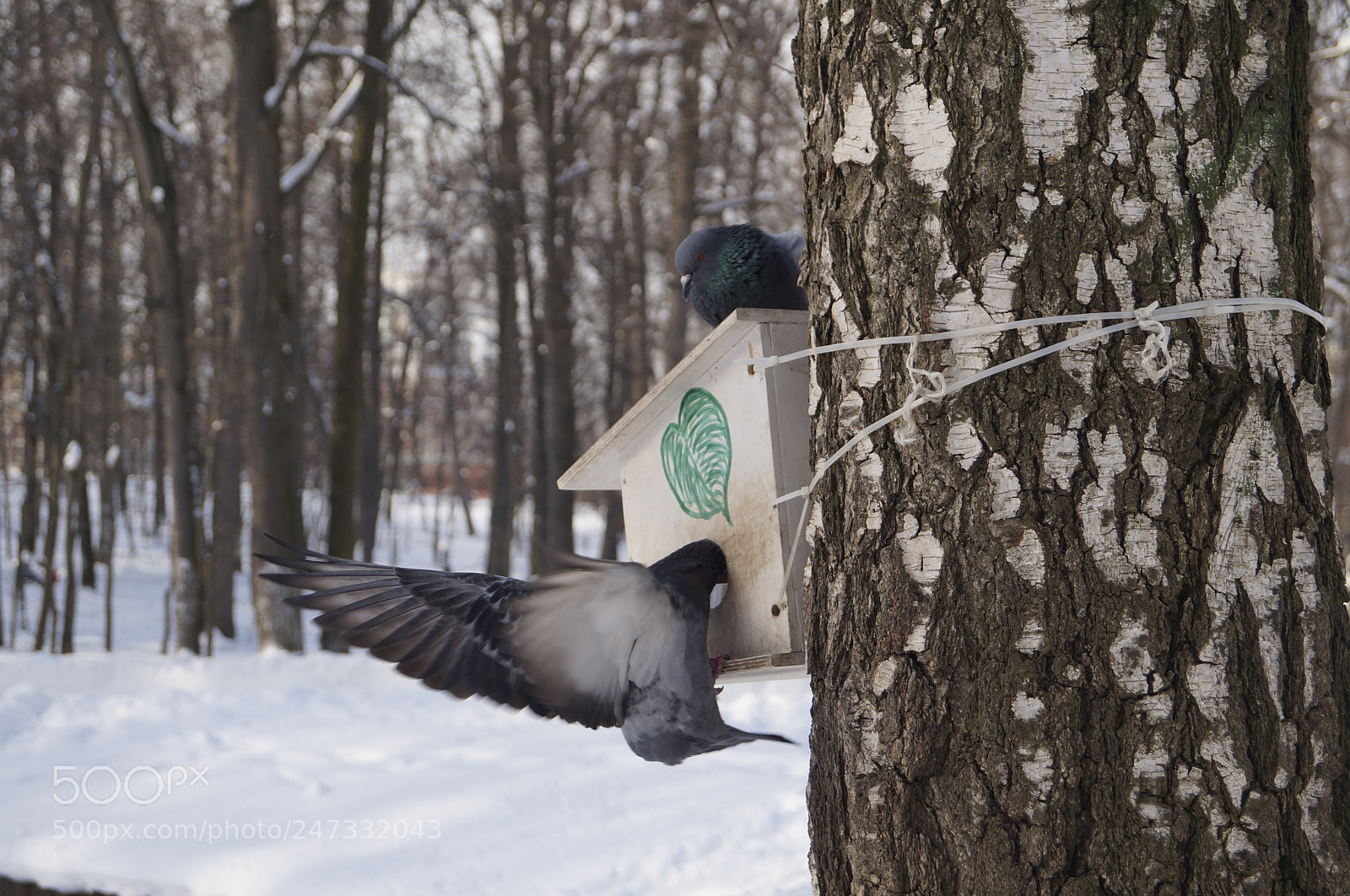 Sony SLT-A57 sample photo. Untitled photography