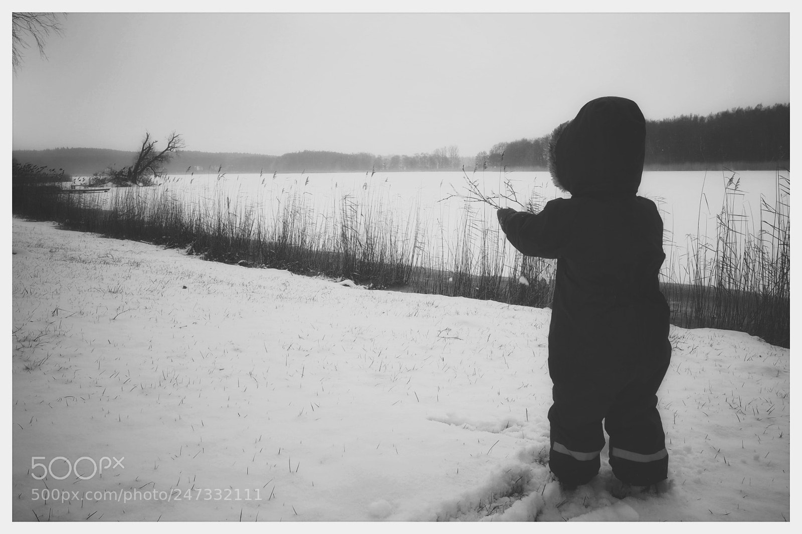 Olympus OM-D E-M10 II sample photo. My little boy... photography