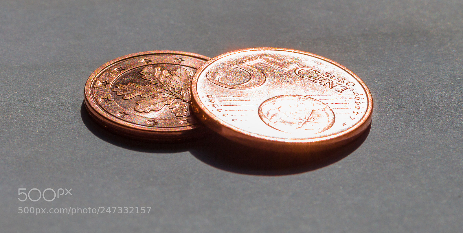 Canon EOS-1D X sample photo. 20180225140237421009886.jpg photography