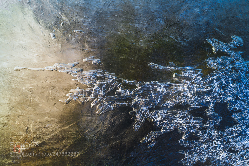 Nikon D850 sample photo. Painted with water, air photography
