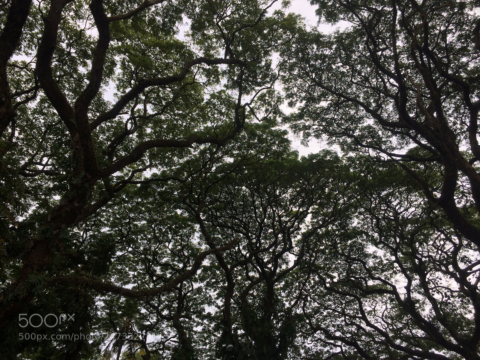 Apple iPhone 5s sample photo. Untitled photography
