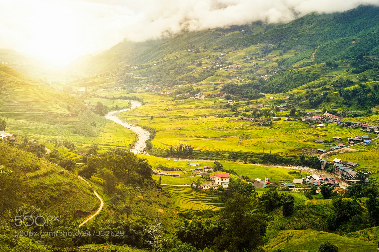 Fujifilm X-T2 sample photo. Sunshine on rice fields photography
