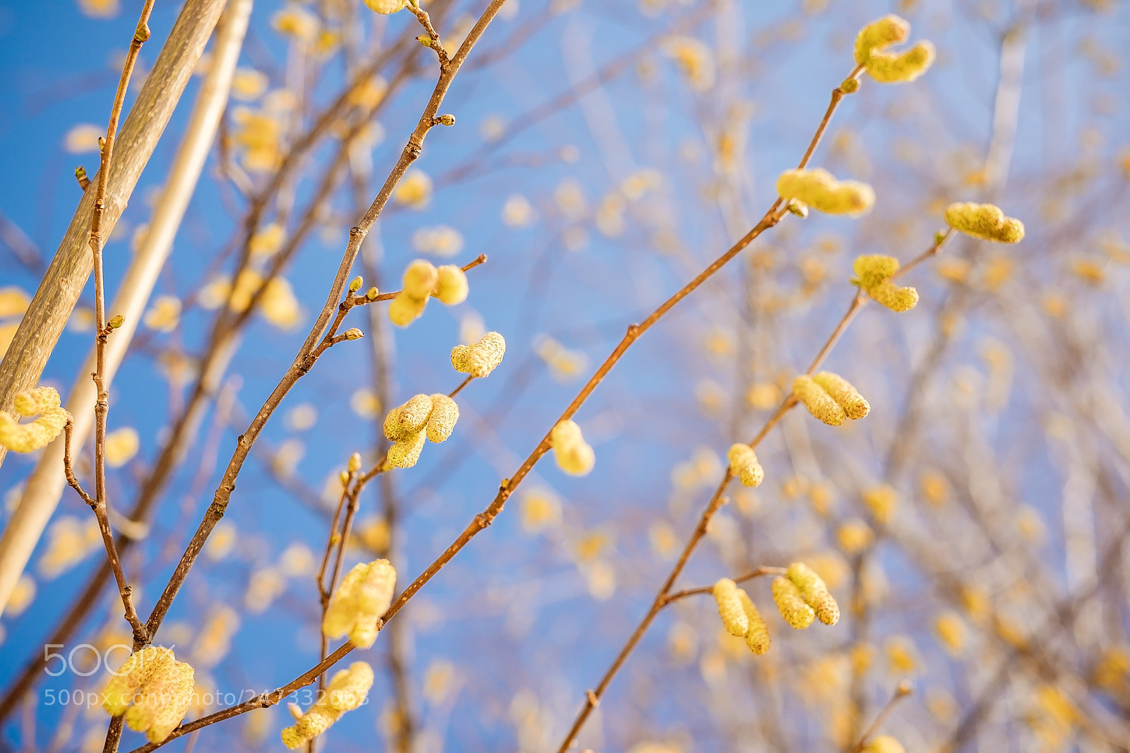 Fujifilm X-T1 sample photo. Another time in winter photography