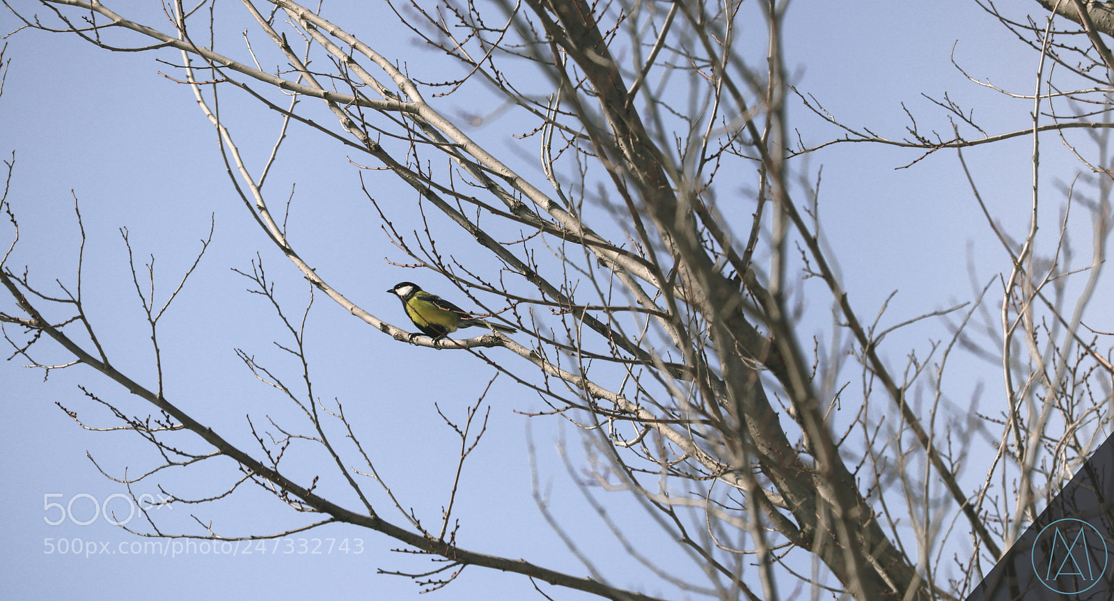Canon EOS 80D sample photo. Spring photography