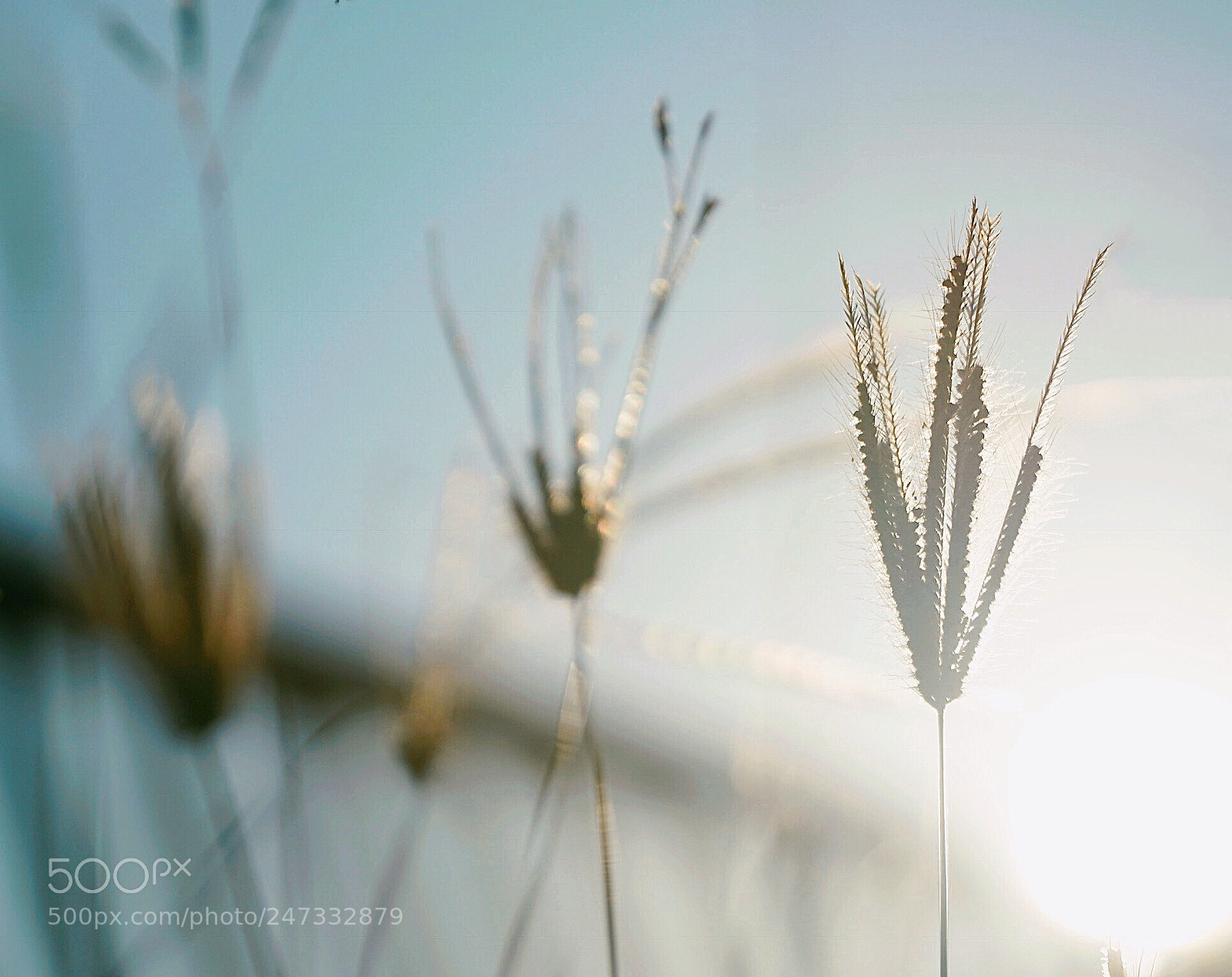 Sony a5100 sample photo. ∞ photography