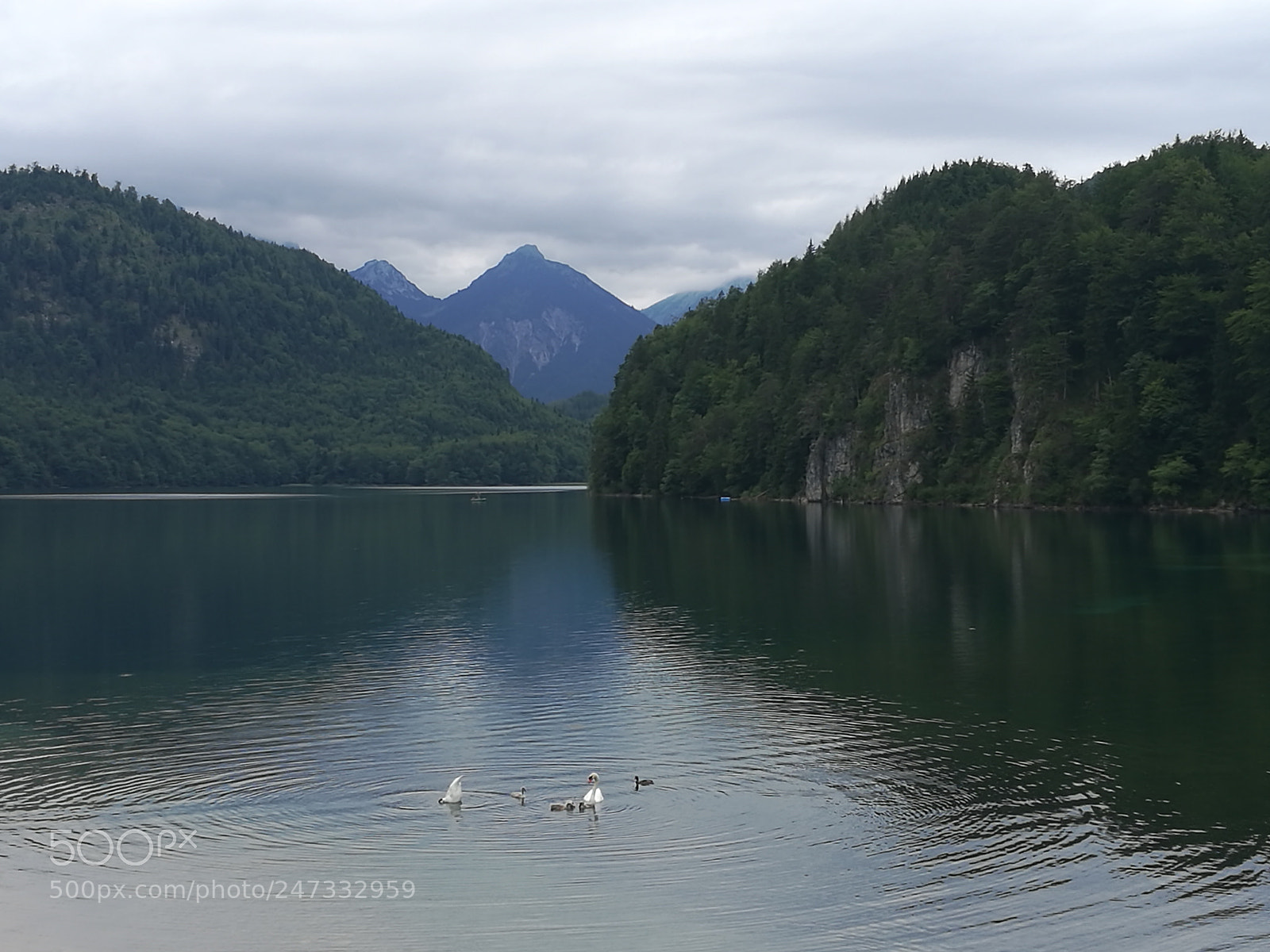HUAWEI Honor 8 sample photo. Lake photography