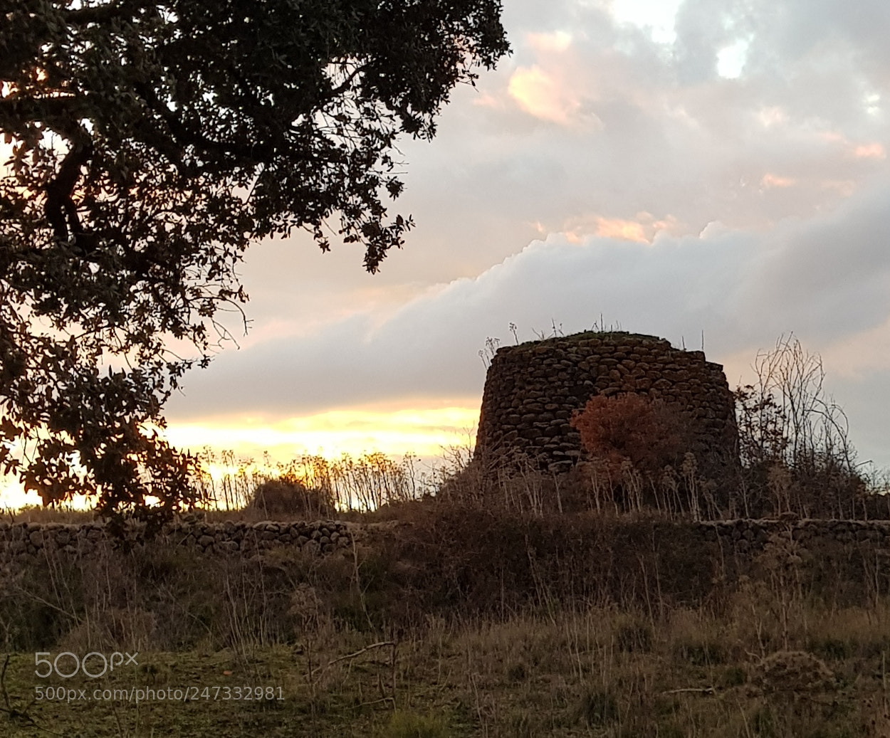 Samsung Galaxy S8+ sample photo. Untitled photography