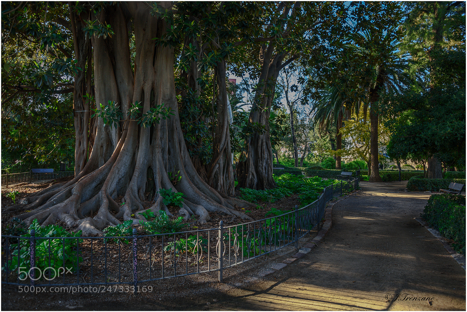 Nikon D810 sample photo. Jardin de ayora, valencia photography