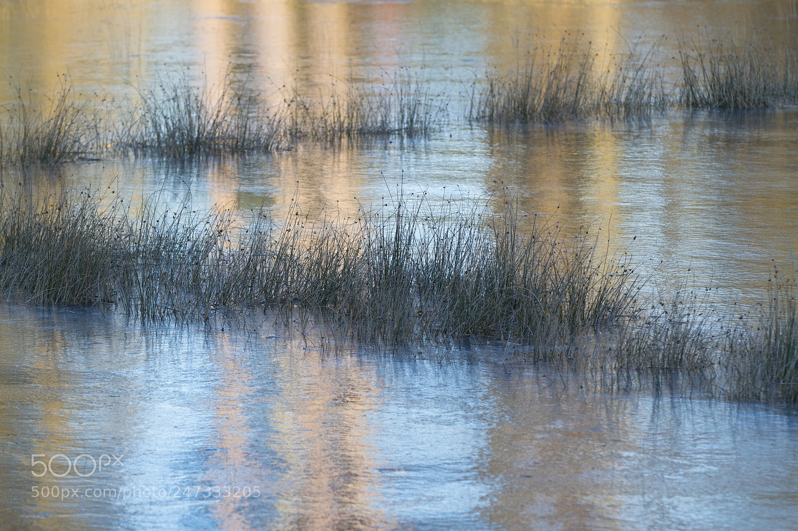 Canon EOS 7D sample photo. Lines photography