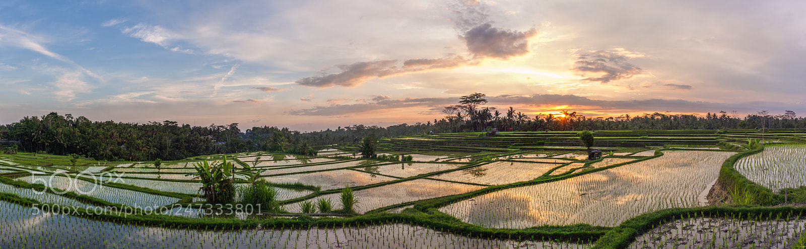 Canon EOS 50D sample photo. Ubud sunset photography