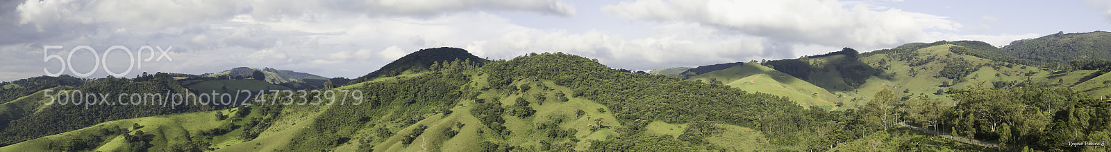 Canon EOS 7D Mark II sample photo. Monte verde photography
