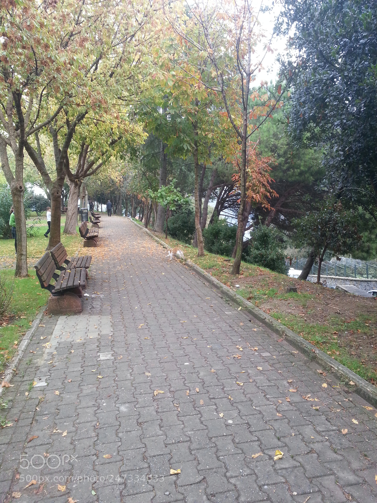 Samsung Galaxy S3 sample photo. Park photography