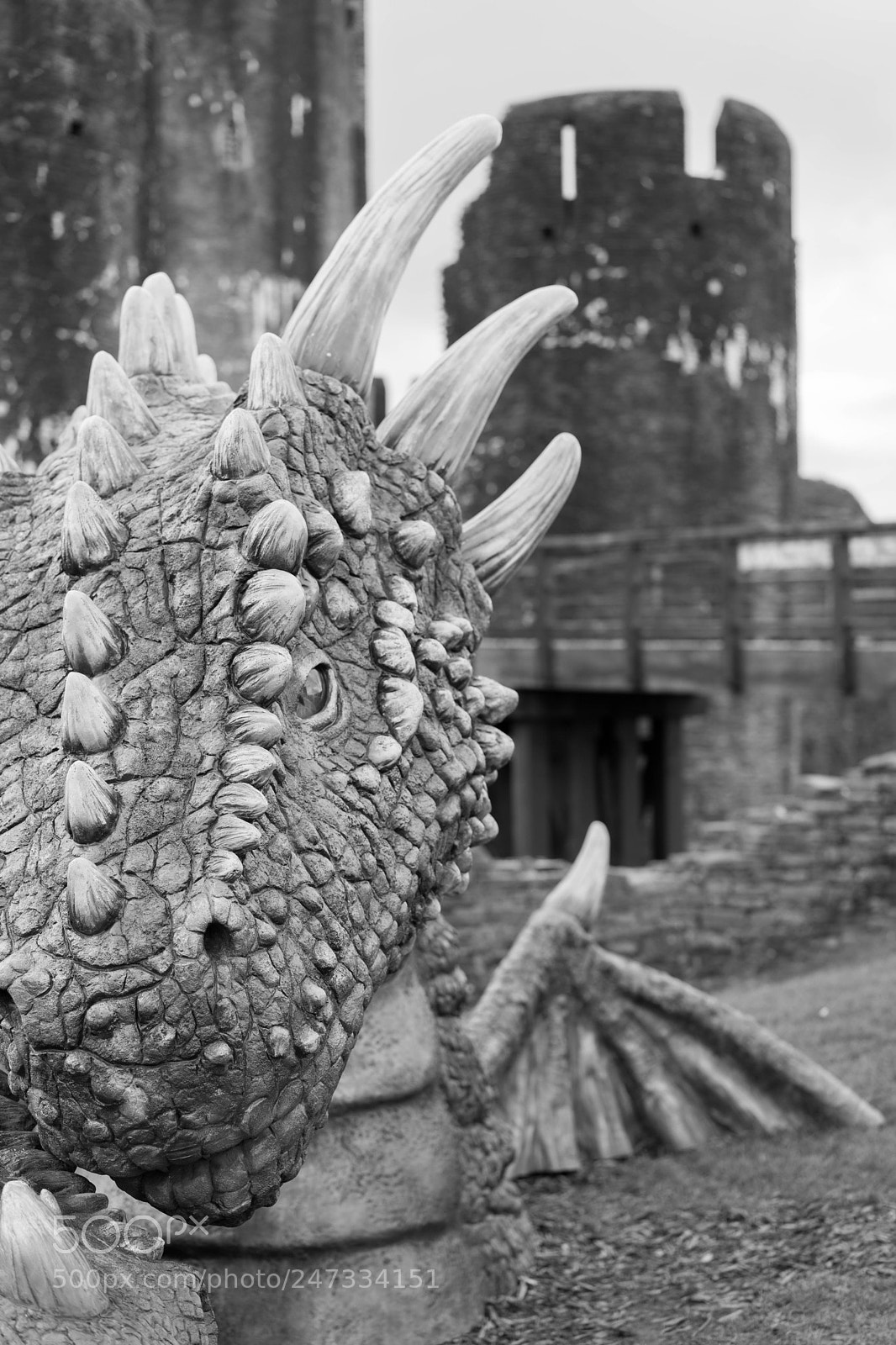 Sony a7 sample photo. Dragon of the castle photography