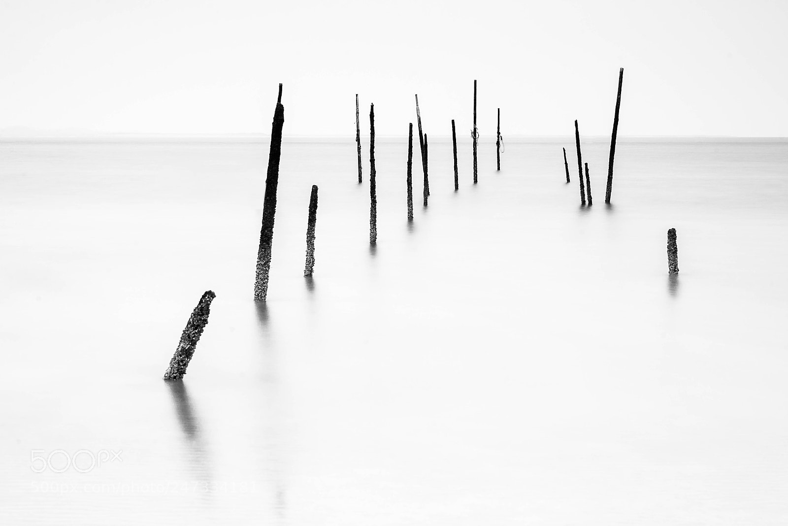 Nikon D610 sample photo. Rockanje sticks photography
