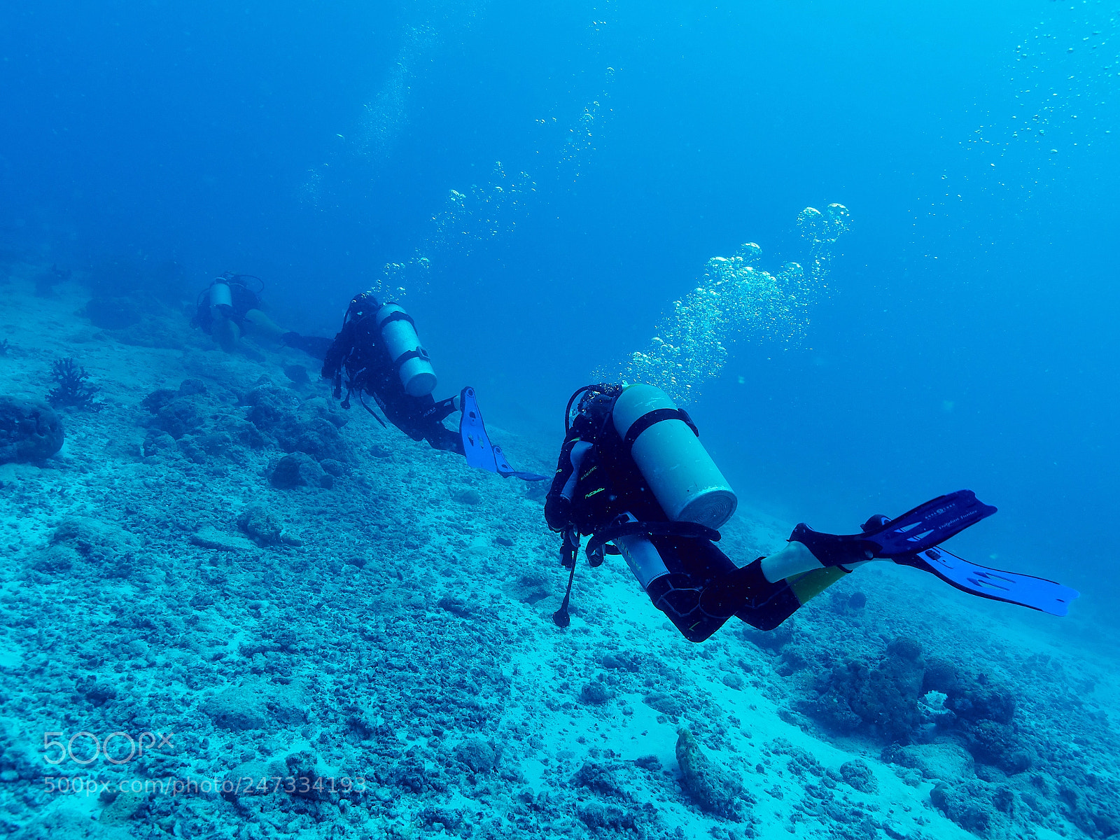 Olympus OM-D E-M1 sample photo. Startig the dive photography