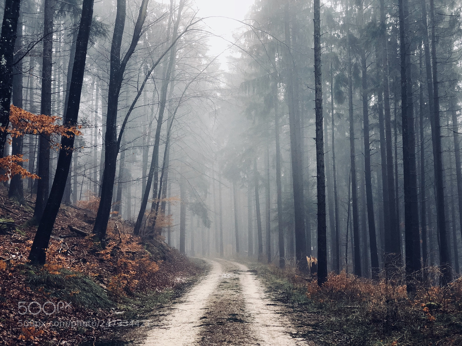 Apple iPhone X sample photo. Untitled photography