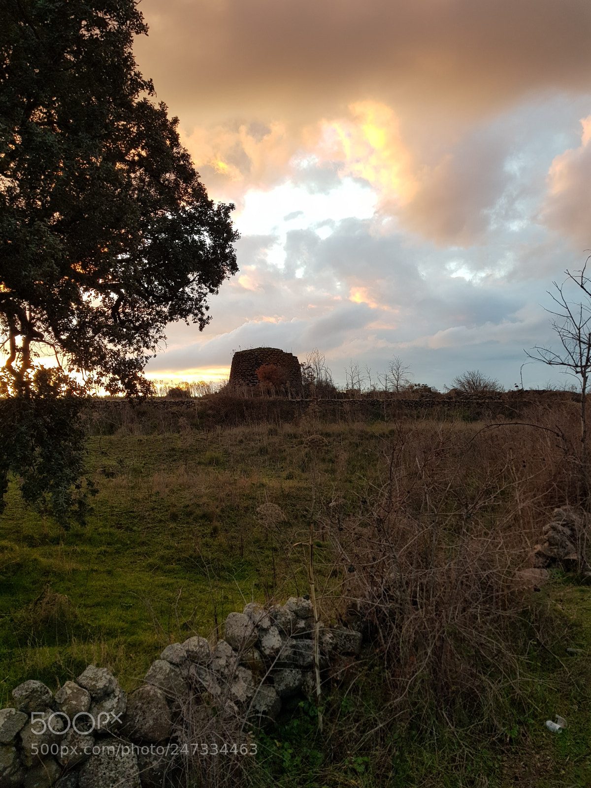 Samsung Galaxy S8+ sample photo. Untitled photography