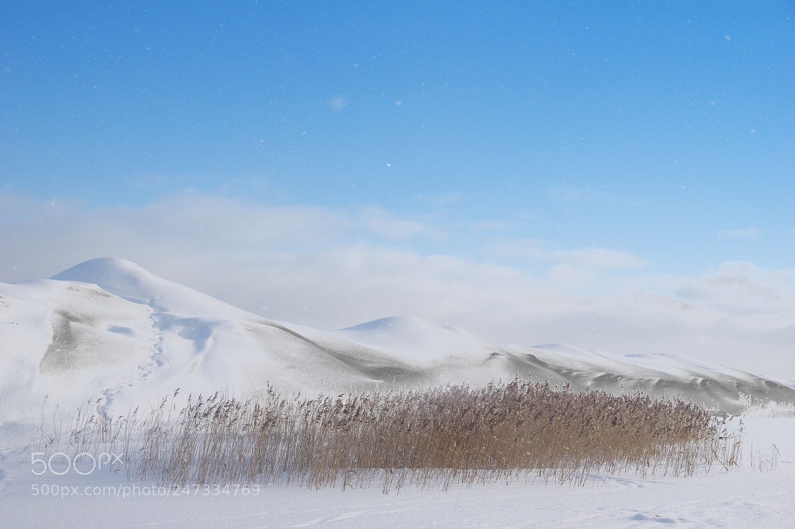 Pentax K-3 sample photo. Winter vi photography