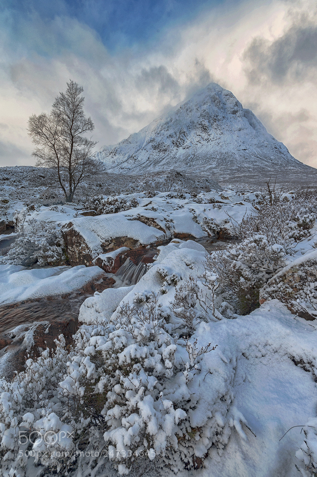Nikon D800 sample photo. Cold as ice photography