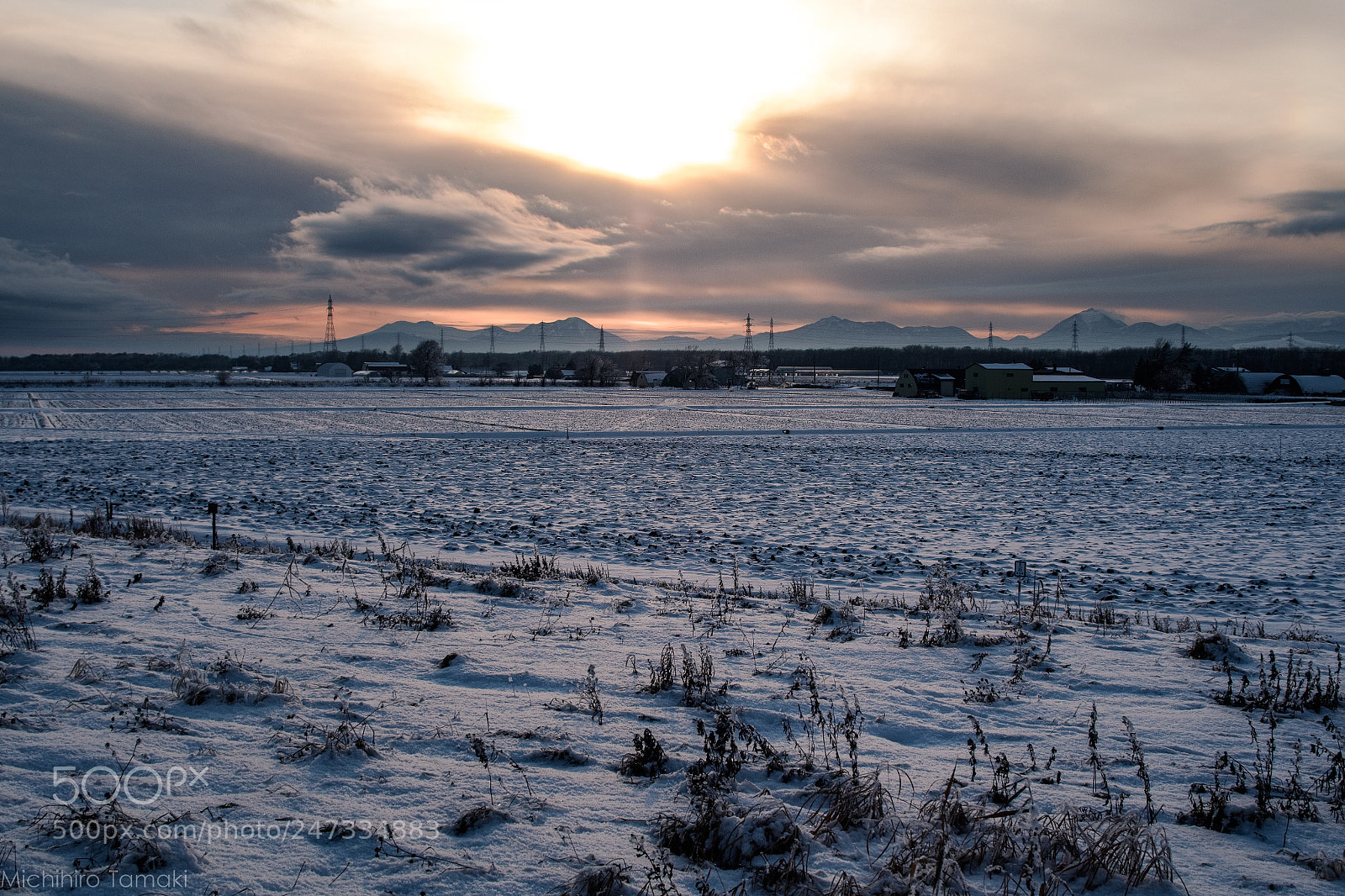 Fujifilm X-E1 sample photo. The golden evening photography