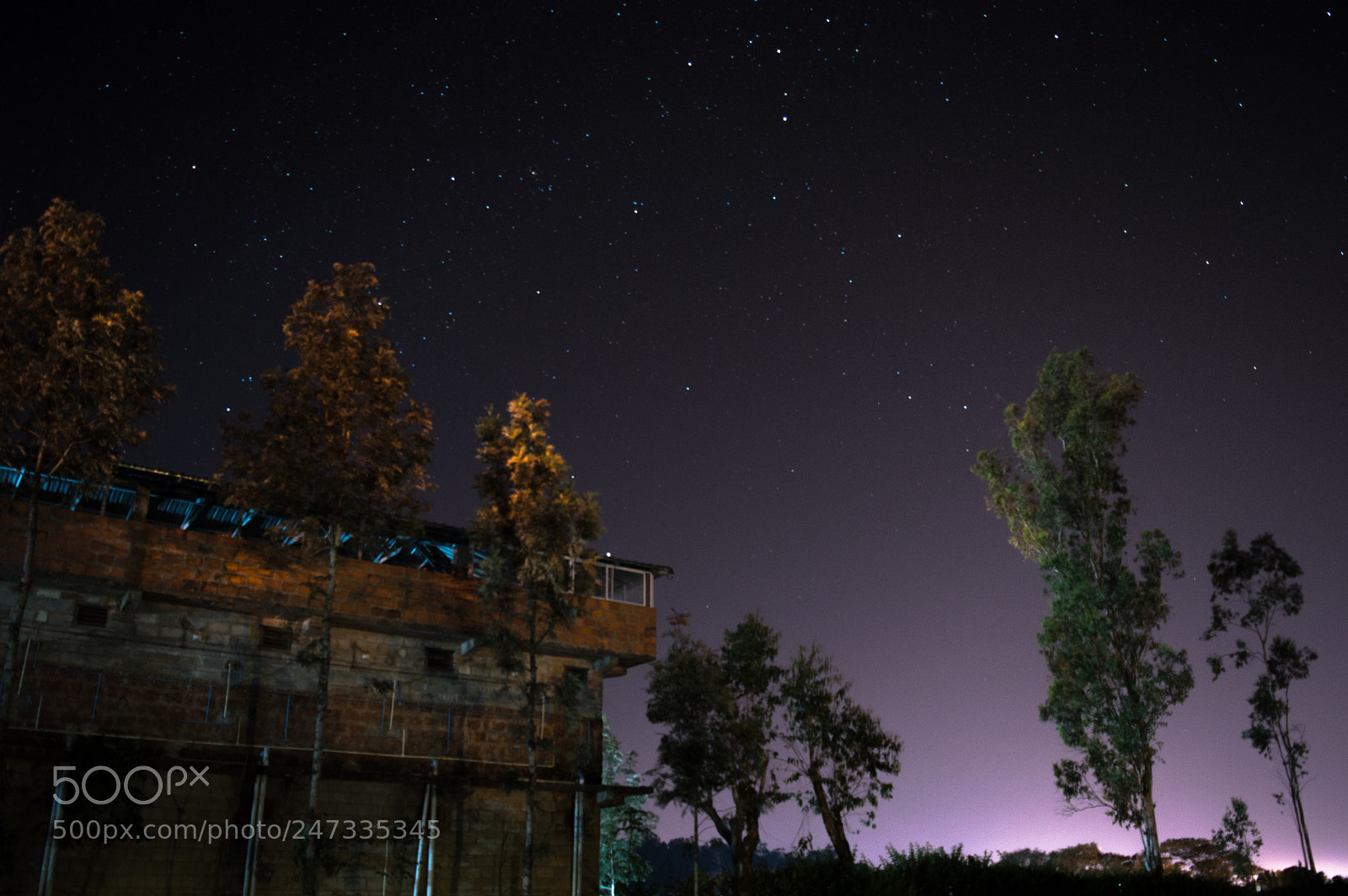 Nikon D3200 sample photo. Night click photography