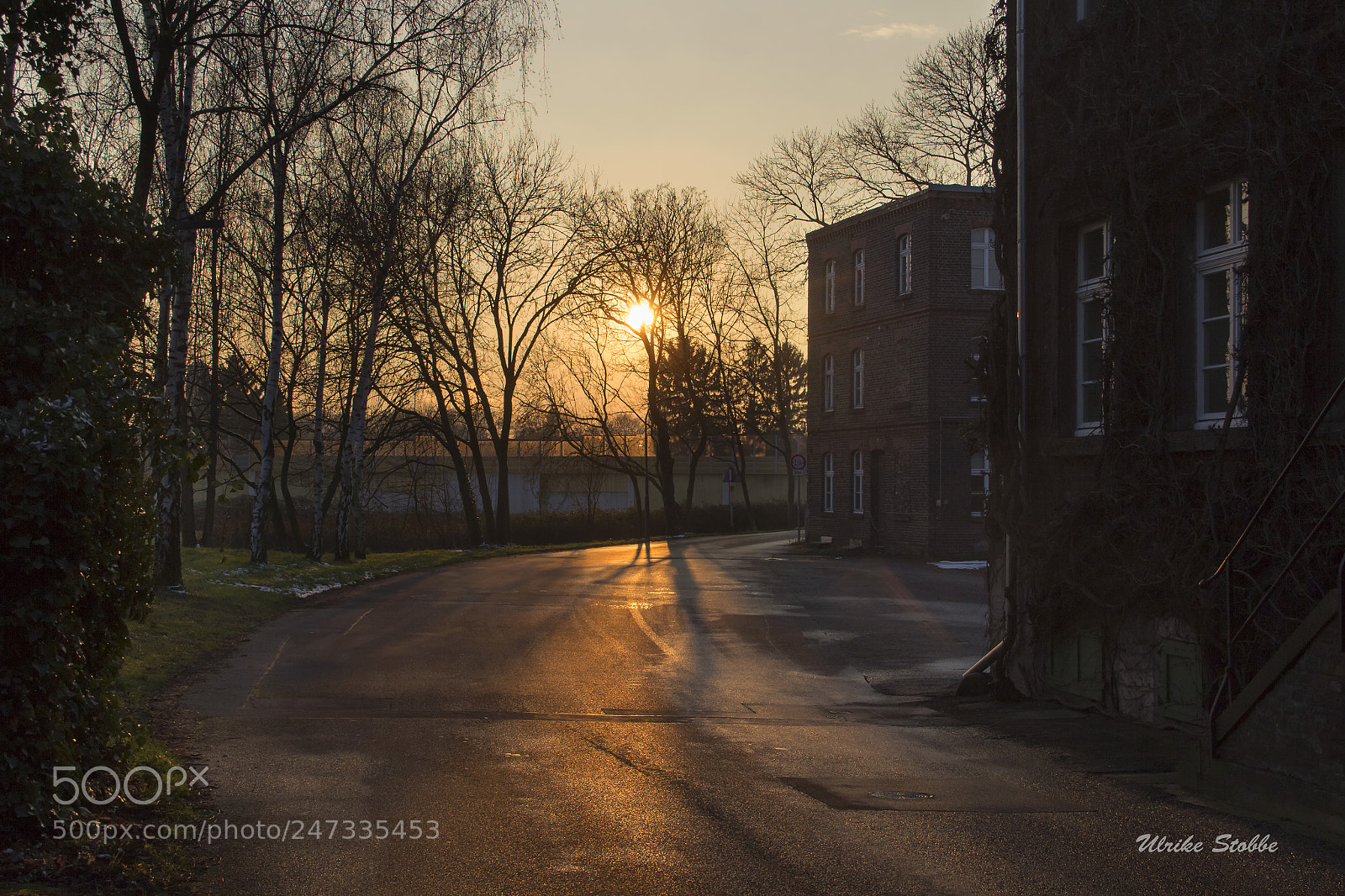 Canon EOS 600D (Rebel EOS T3i / EOS Kiss X5) sample photo. Winter sun in the photography