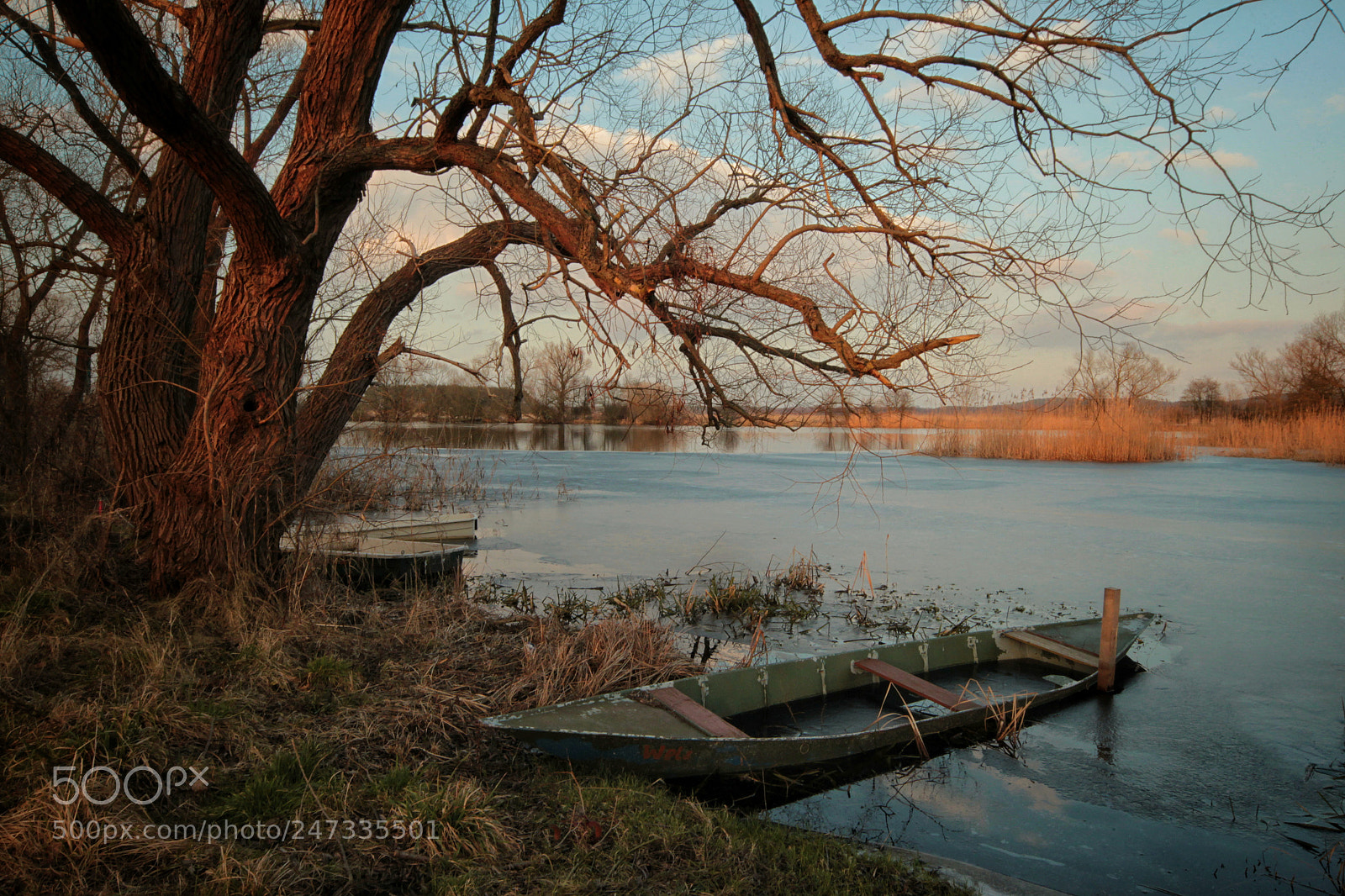 Canon EOS-1D Mark IV sample photo. Untitled photography