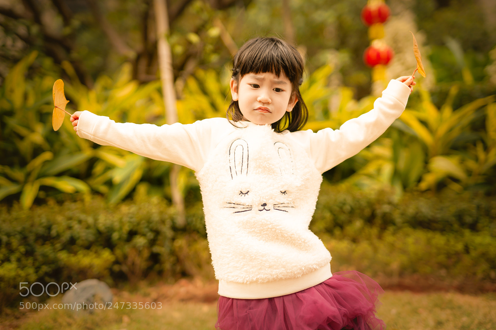 Sony a7R II sample photo. Untitled photography