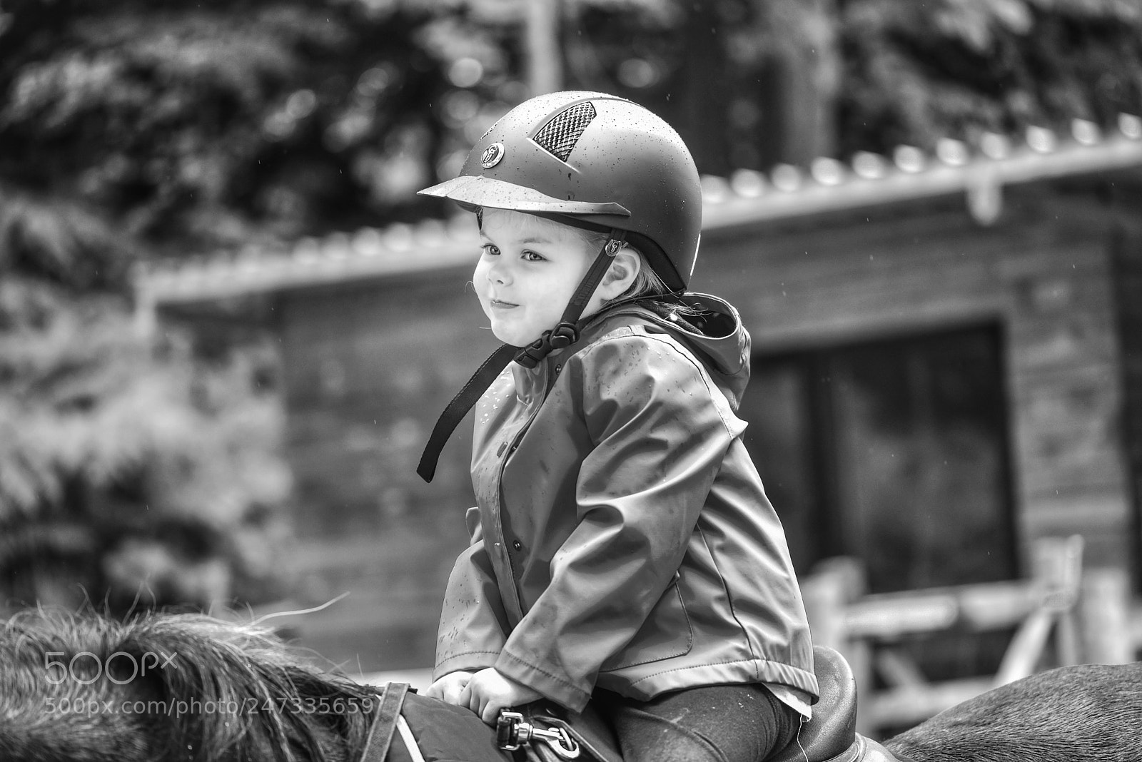 Nikon D810 sample photo. "audrey hepburn" photography