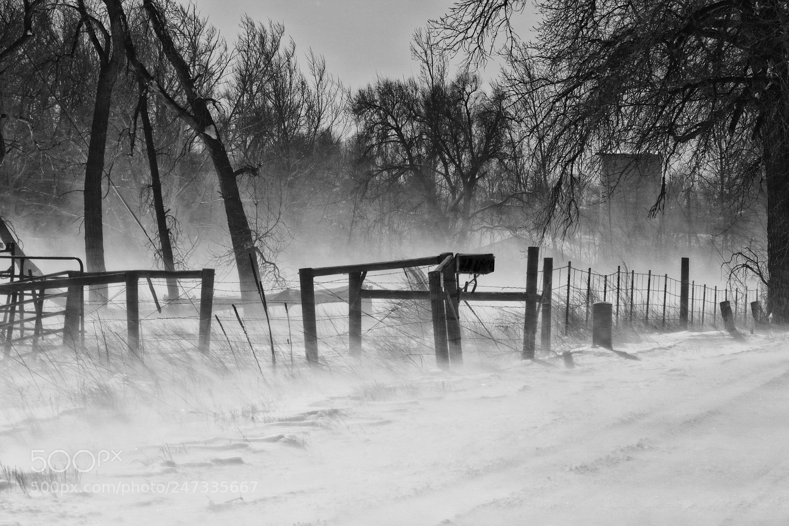 Canon EOS 7D Mark II sample photo. And the cold winds photography