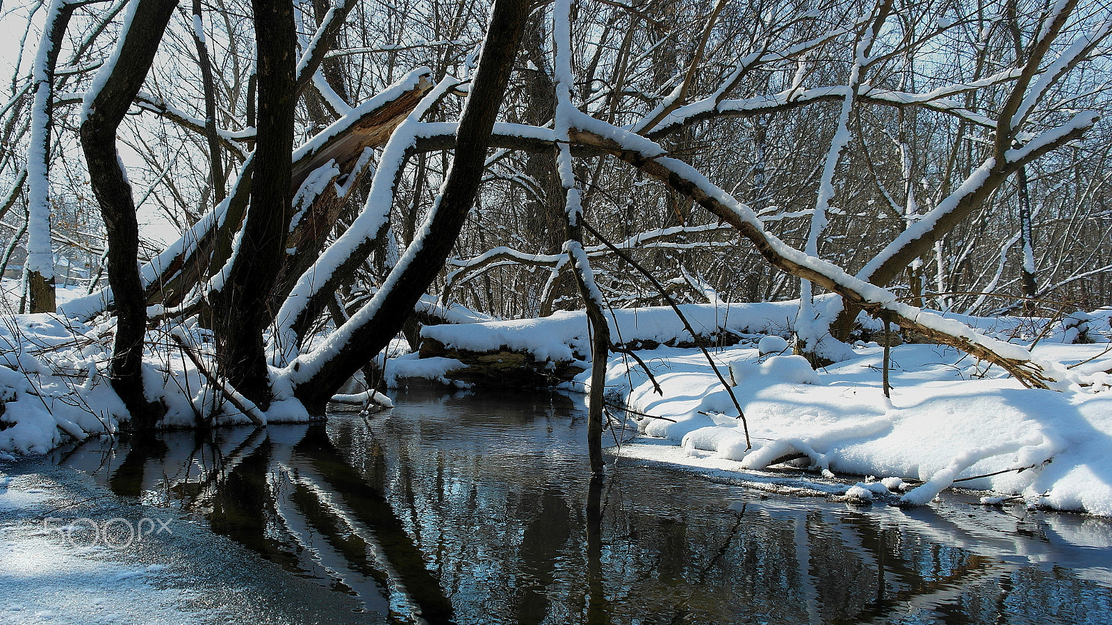 Samsung NX20 sample photo. Winter stream photography