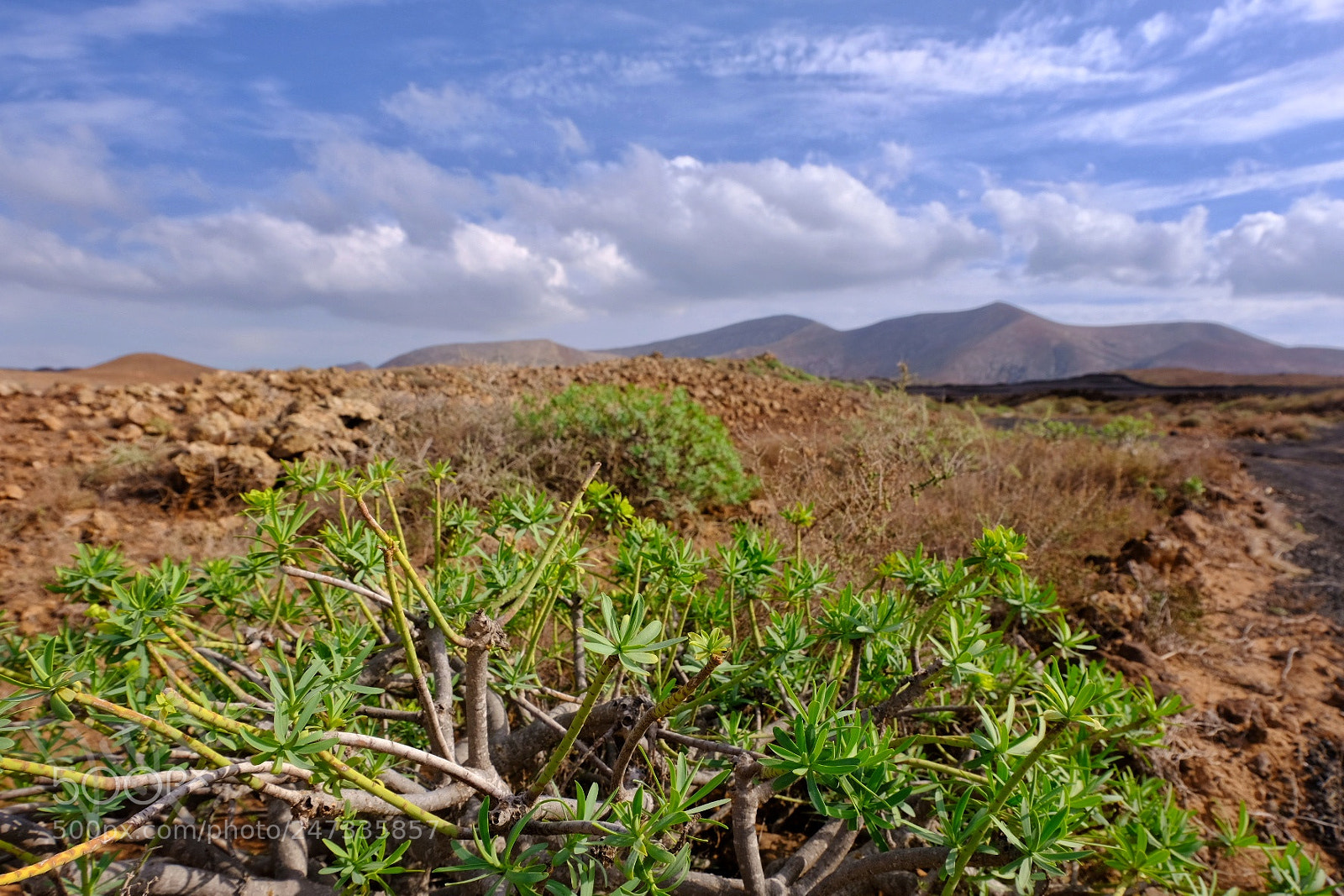 Fujifilm X-T20 sample photo. Road trip lanzarote photography