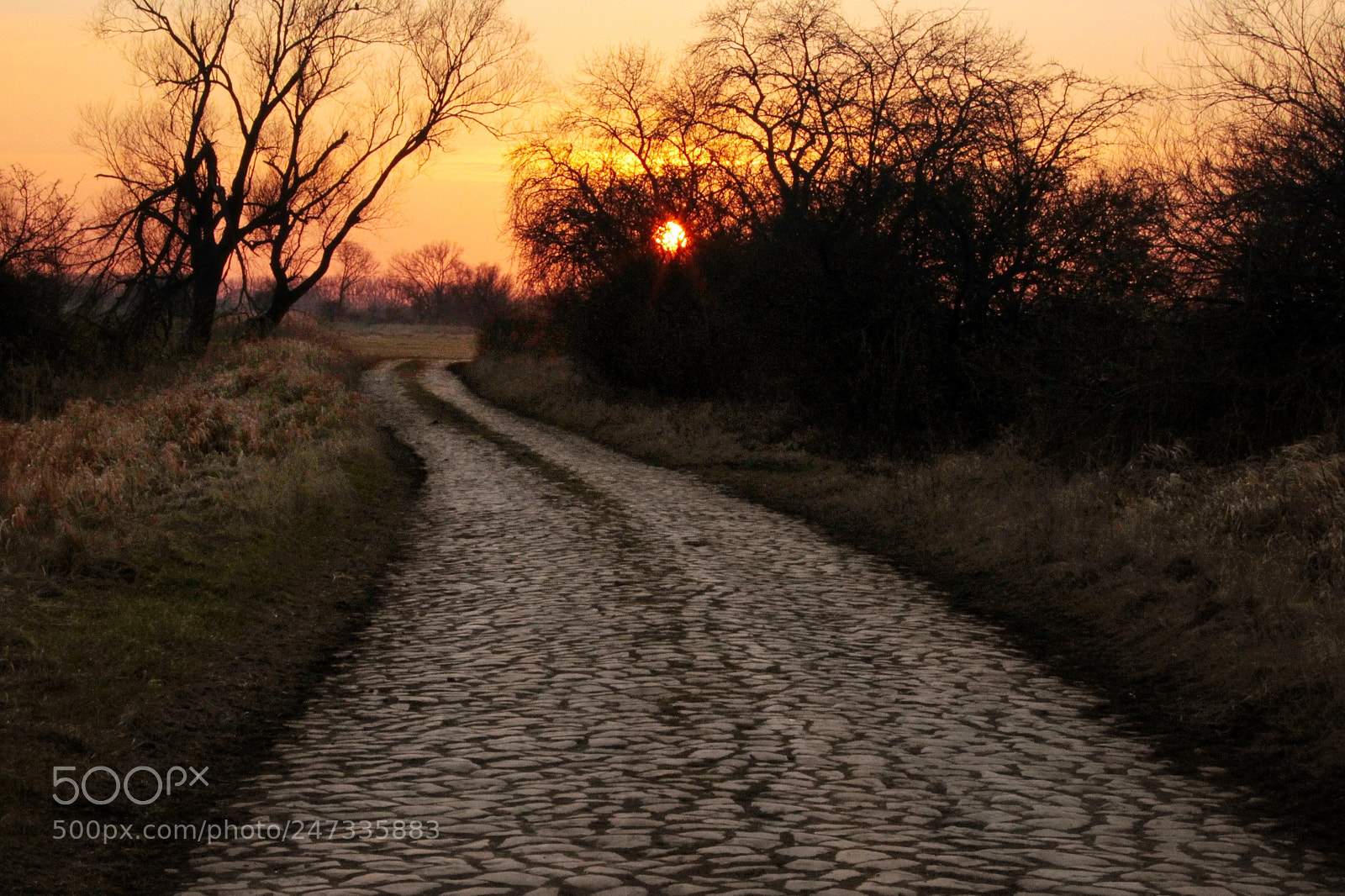 Canon EOS-1D Mark IV sample photo. Untitled photography