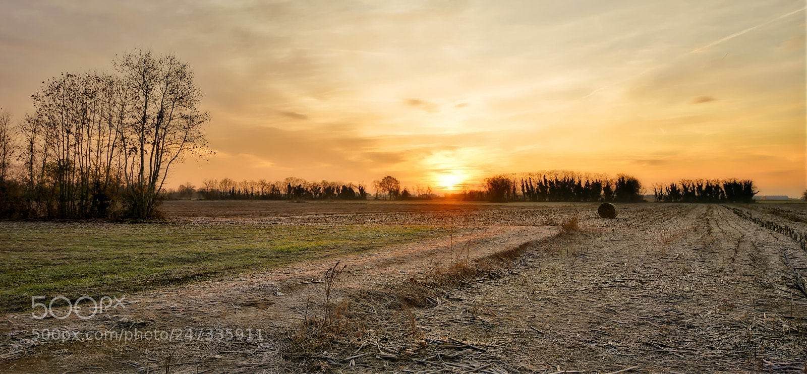 Nikon D7200 sample photo. New days dawn photography