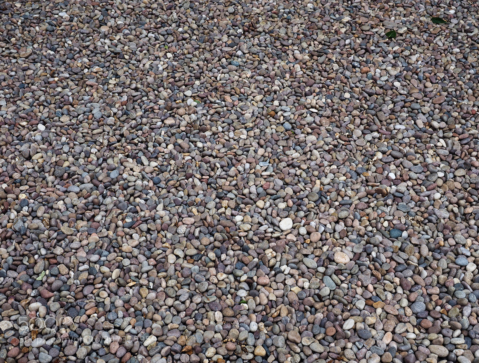 Olympus OM-D E-M1 sample photo. Pebbles photography