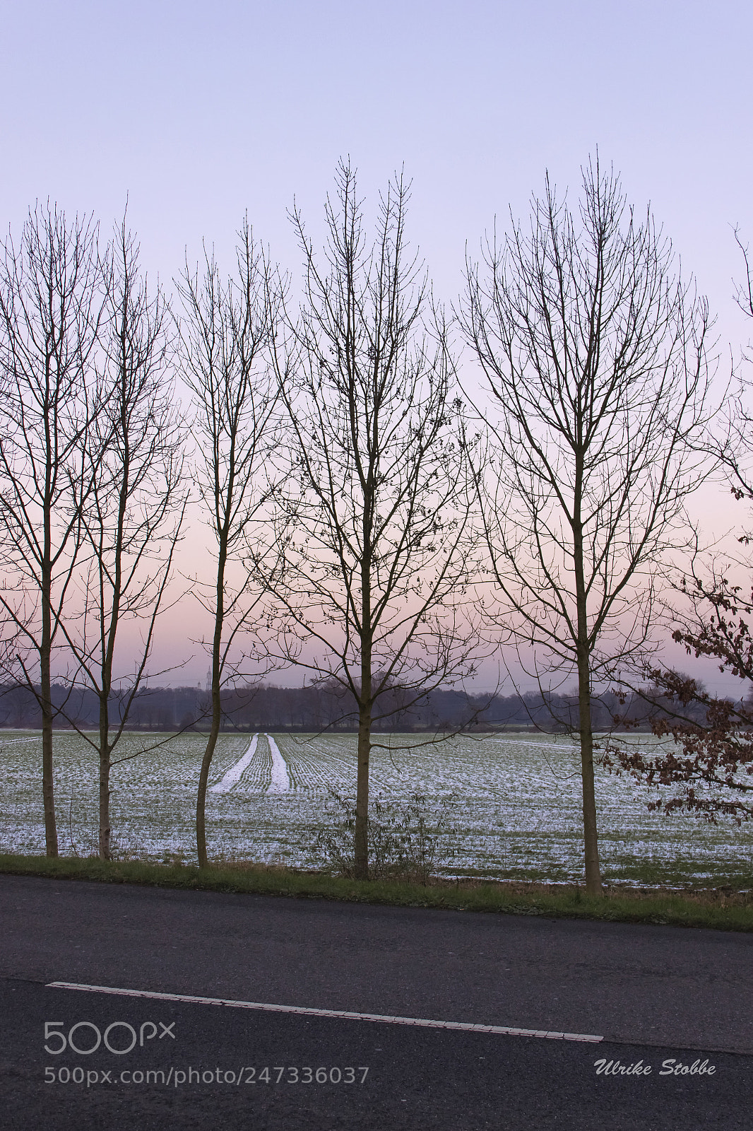 Canon EOS 600D (Rebel EOS T3i / EOS Kiss X5) sample photo. Winter in cologne photography
